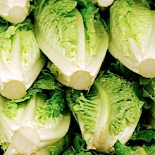 lettuce romaine coli poisoning confirmed cdc fda link aboutlawsuits shredded cases