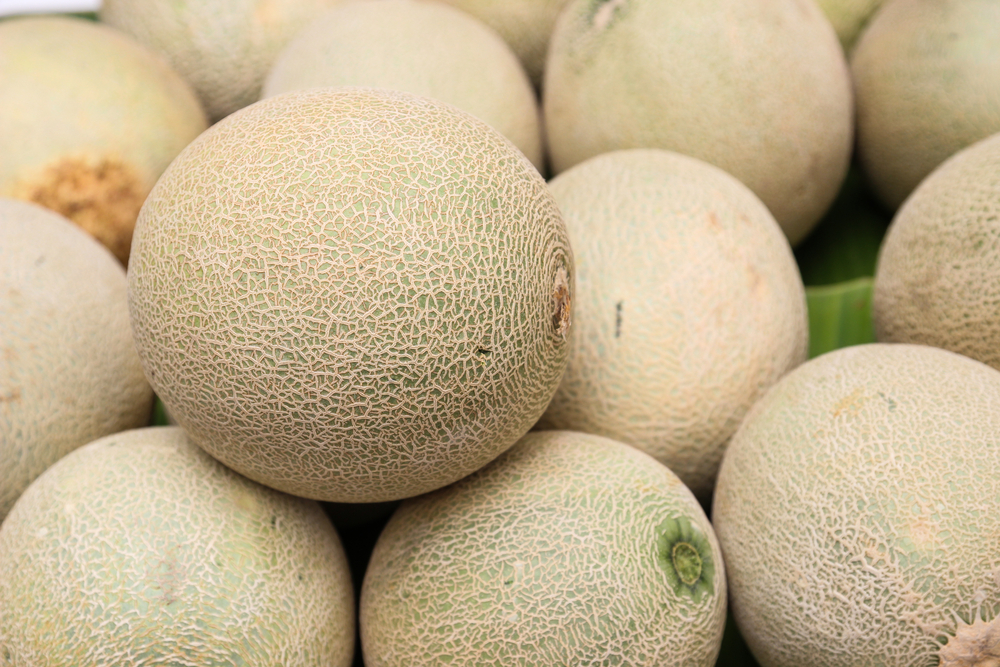 Cantaloupe Recall Leaves Two Dead, Dozens Hospitalized With Salmonella