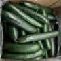 Cucumber Food Poisoning Outbreak Results in Recall for Produce Sold at Walmart, Wegmans, Other Stores