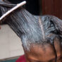 Hair Relaxer Cancer Lawsuit