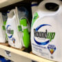 Philadelphia Roundup Lawsuit Ends in Defense Verdict for Monsanto