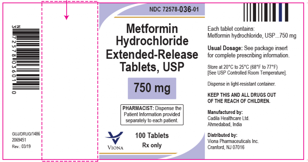 Metformin Generic Drug